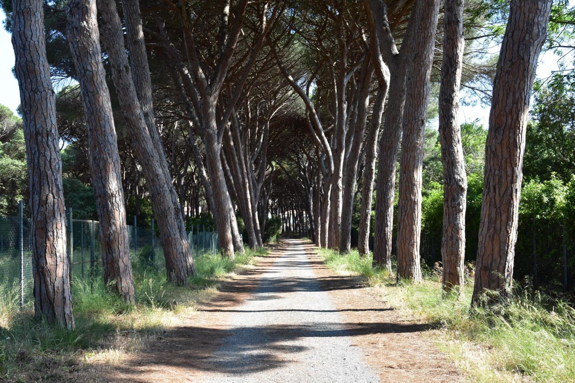 Tuscan Sunrise Porto Santo Stefano  Luaran gambar